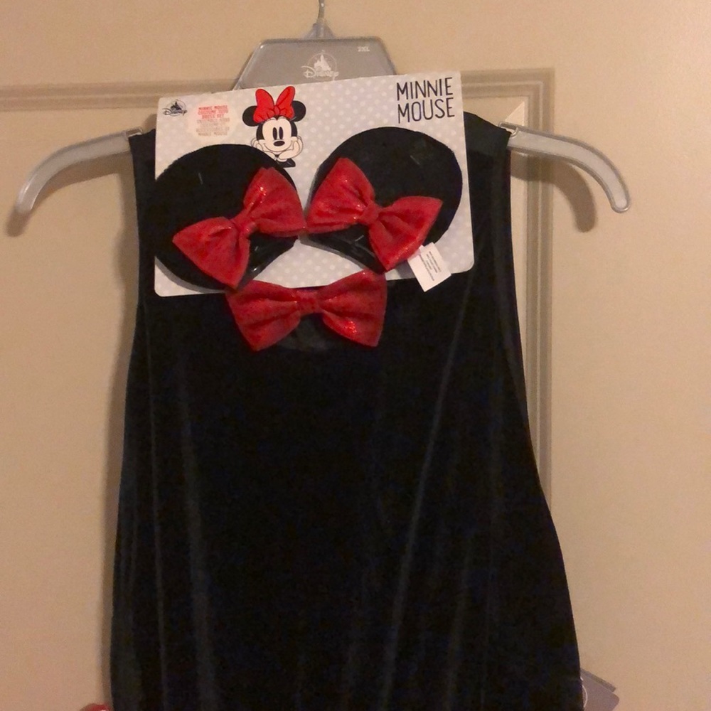 Minnie Costume